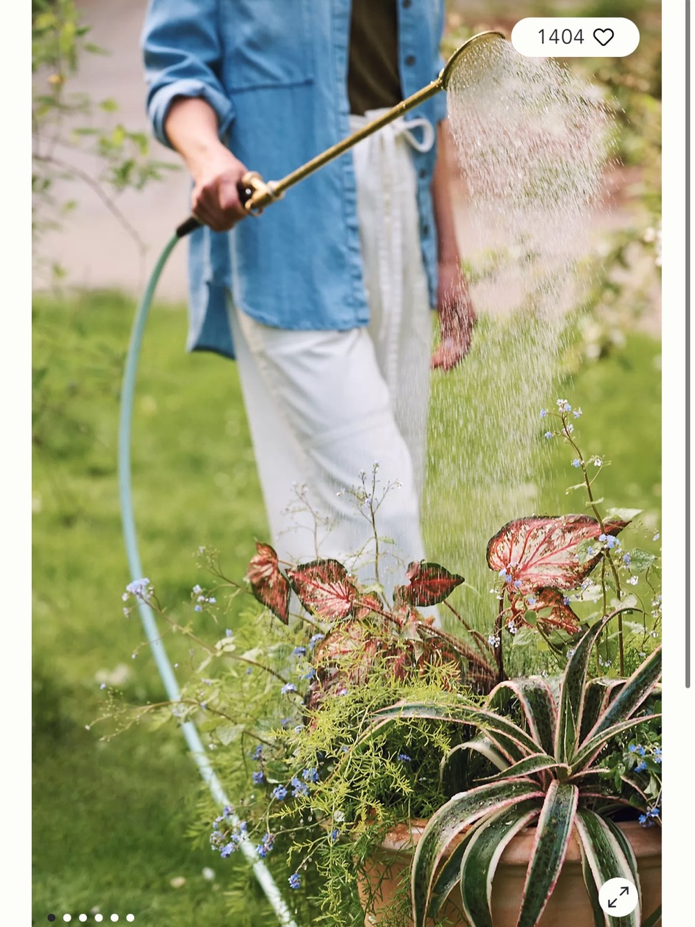 Hawa Brass Watering Lance